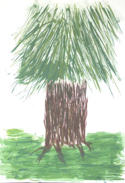 hosikuma