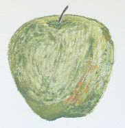 yoshmura