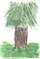 hosikuma