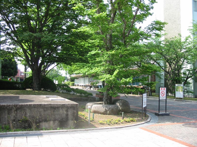 campus003
