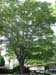campus005